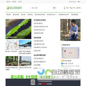 霍山石斛的功效与用法_霍山石斛多少钱一斤_霍山石斛网