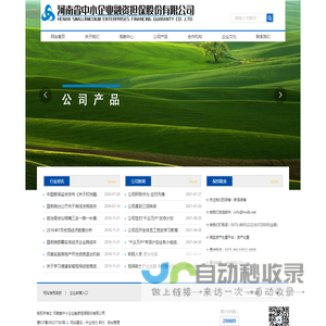 河南省中小企业融资担保股份有限公司_担保_融资_投资
