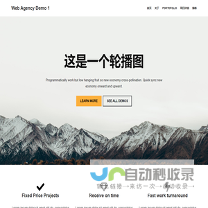 Web Agency Demo 1 – 又一个WordPress站点