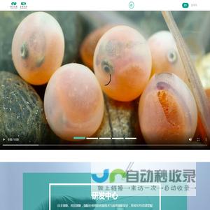 恒昱生物,PDRN, PN-恒昱PDRN, PDRN化妆品,PDRN原料 ,PDRN护肤, 三文鱼PDRN, 三文鱼水光