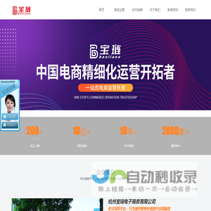 淘宝代运营公司-天猫网店托管-电商代运营「宝琏电商」
