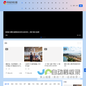 中国企业日报