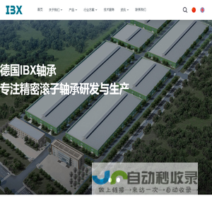 IBX轴承|杭州旭精机械科技有限公司