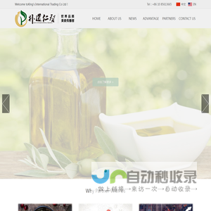 King's International Trading Co Ltd 【Official website】