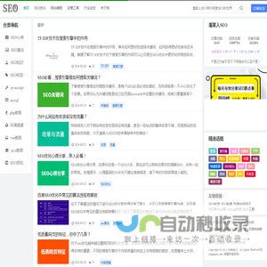 网站建设及排名优化教程_潘某人SEO