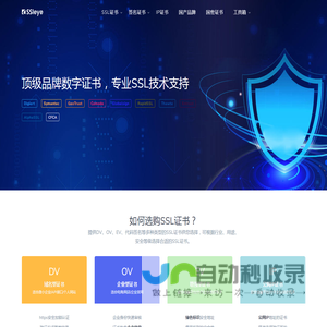 SSL/HTTPS证书-代码签名证书-邮件签名证书-IP证书-国密SM2证书-SSLeye官网