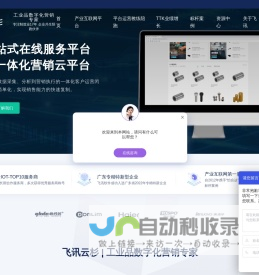 产业互联网平台_打造工业品数字化营销平台 | 飞讯云杉