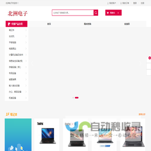 北洲电子