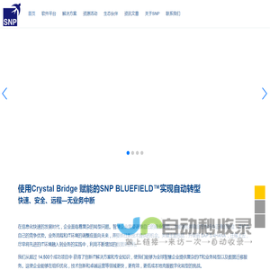 SAP系统升级 ECC升级S/4HANA SAP实施代理商 德国SNP中国官网