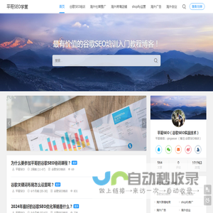 谷歌SEO优化培训_谷歌SEO入门教程_Google排名指南-平哥SEO