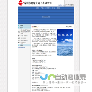 深圳市惠世光电子有限公司