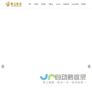 广东锦龙发展股份有限公司