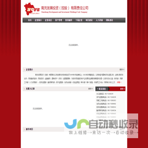 南充发展投资（控股）有限责任公司