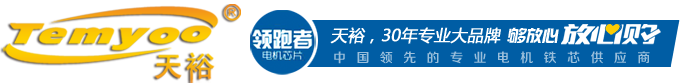 铁芯冲片 电机转定子 专注电机铁芯生产研发20年