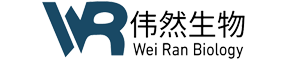 广州伟然生物科技有限公司_广州伟然生物科技有限公司